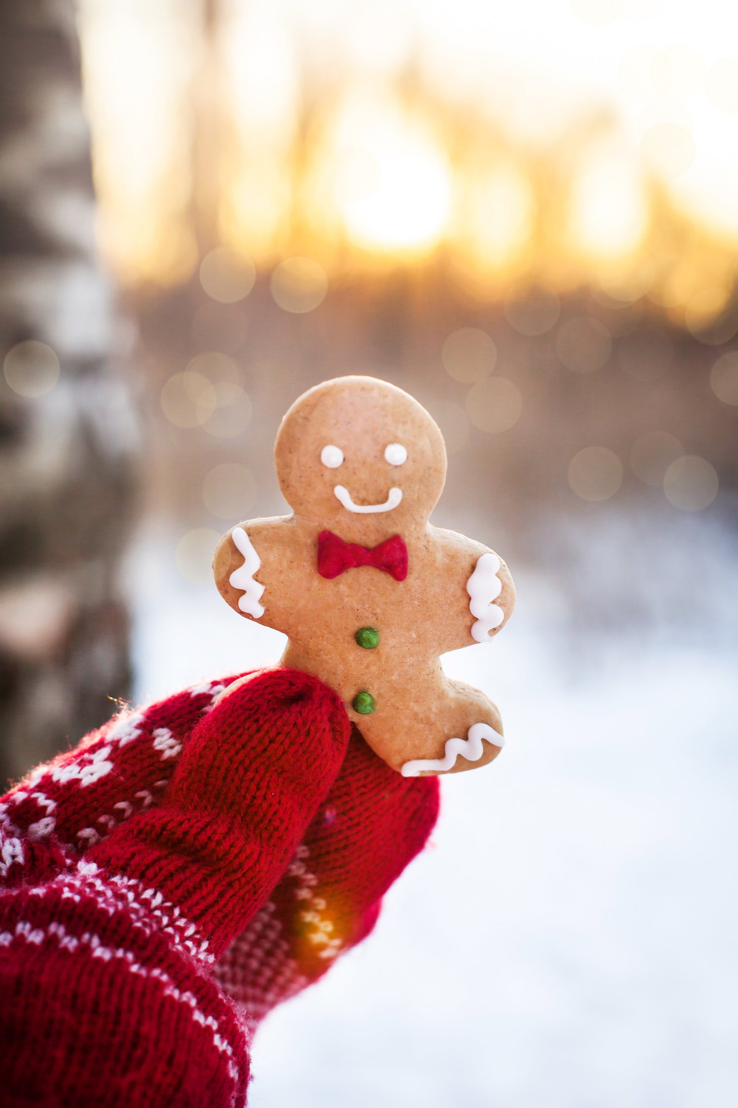 Plight Before Christmas