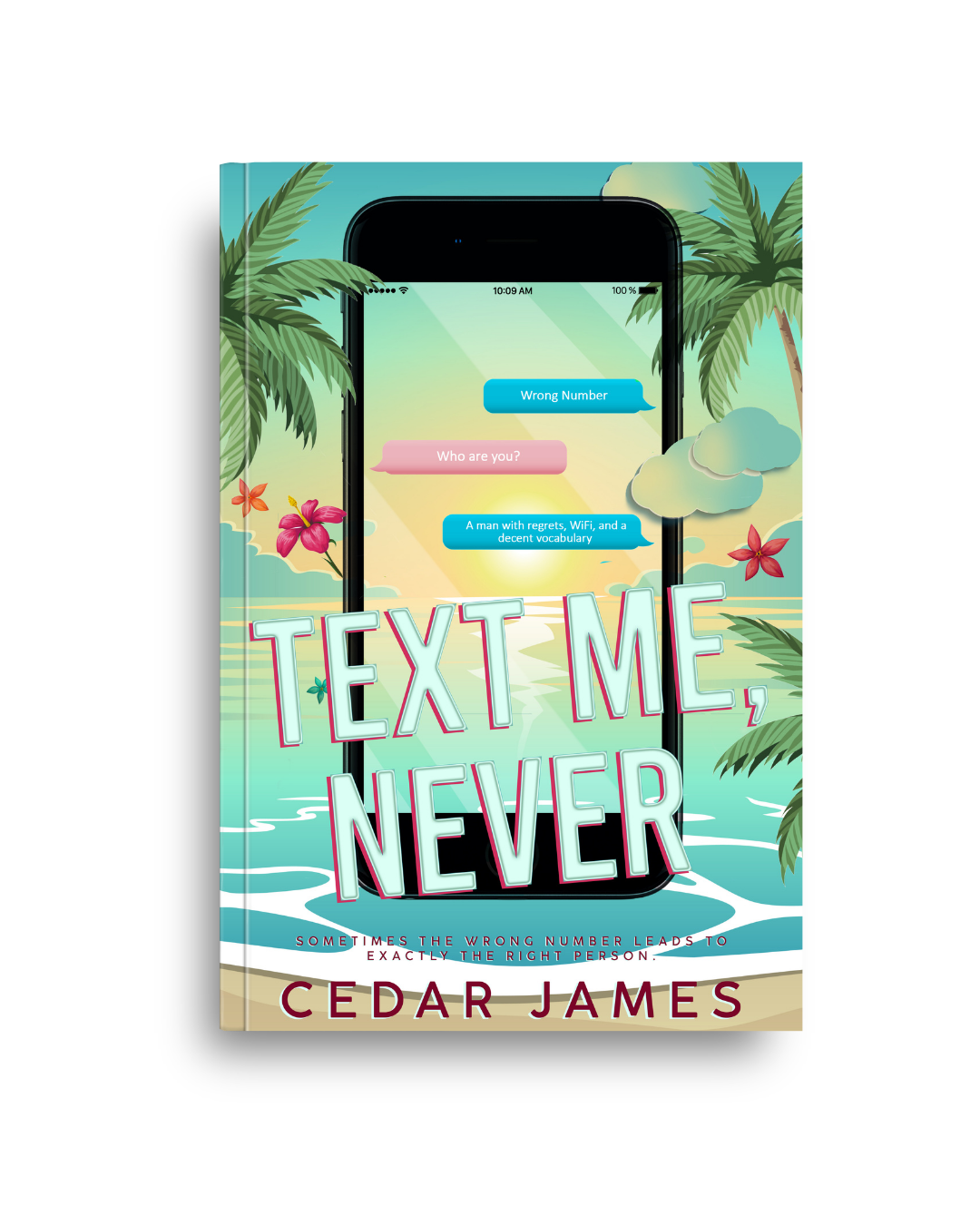 Text Me, Never by Cedar James