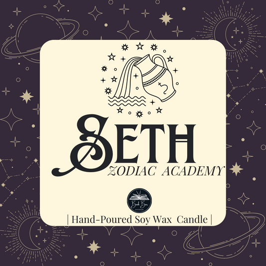 Seth - Zodiac Academy image 0